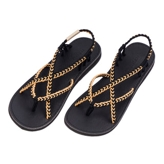 AUTUMN-GOLDEN-BLACK