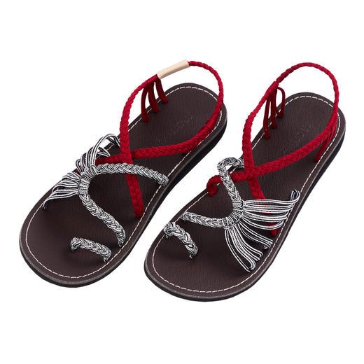 EXPLORE-RED-ZEBRA