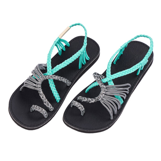EXPLORE-TURQUOISE-ZEBRA