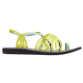Explore Aqua Lime