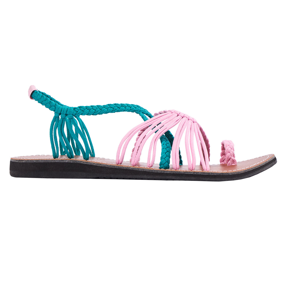 Explore Flamingo Teal