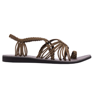 Explore Taupe