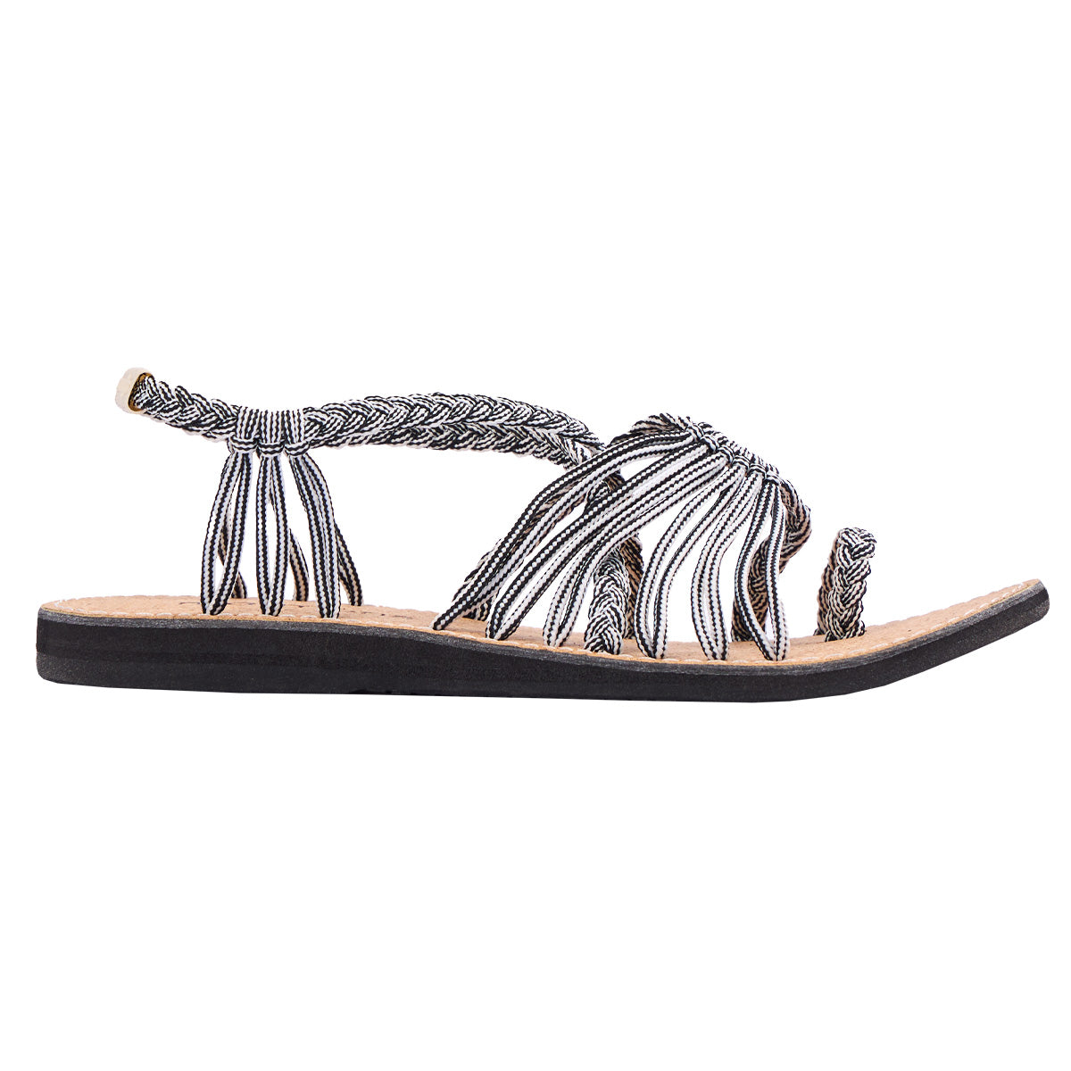 Explore Zebra Twist