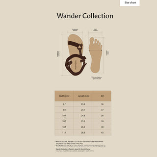 WANDER-ZEBRA TWIST
