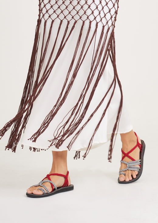 Explore Red Zebra